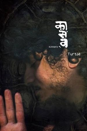 Kaasav: Turtle's poster