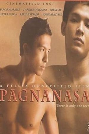 Pagnanasa's poster