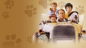 The Shaggy Dog's poster