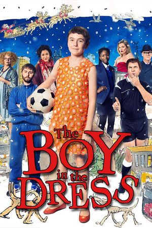 The Boy in the Dress's poster