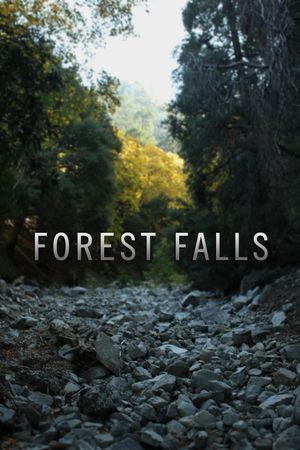 Forest Falls's poster image