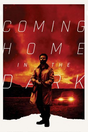 Coming Home in the Dark's poster