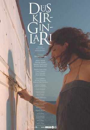 Düş Kırgınları's poster image