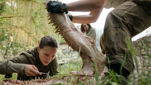 Annihilation's poster