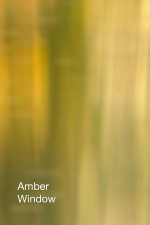 Amber Window's poster