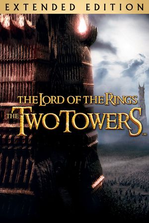 The Lord of the Rings: The Two Towers's poster