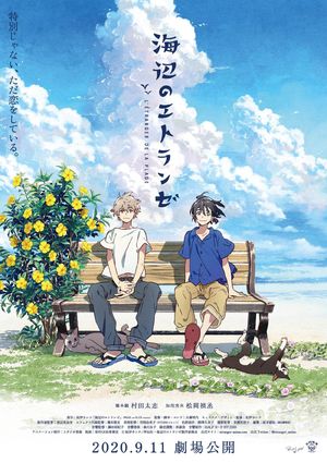 The Stranger by the Beach's poster