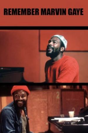 Remember Marvin Gaye's poster image