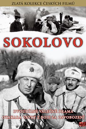 Sokolovo's poster