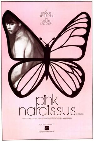 Pink Narcissus's poster