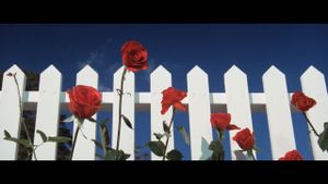 Blue Velvet's poster