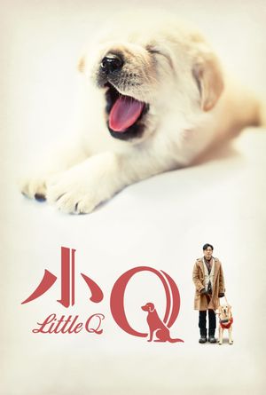 Little Q's poster