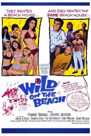 Wild on the Beach's poster image
