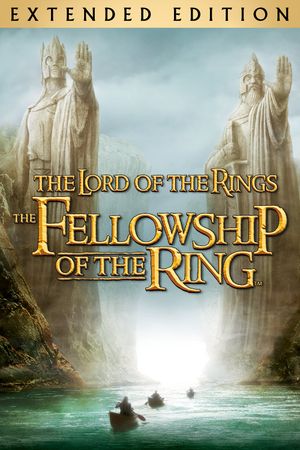 The Lord of the Rings: The Fellowship of the Ring's poster