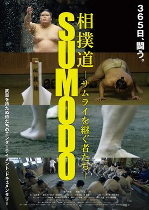 Sumodo's poster
