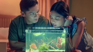 Isa Pa with Feelings's poster