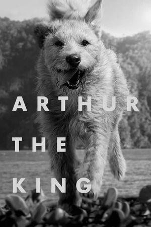 Arthur the King's poster