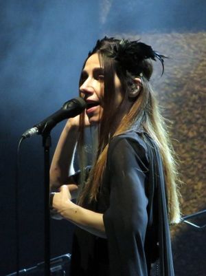 PJ Harvey at Rock Werchter's poster