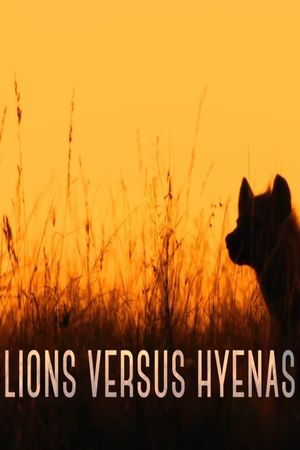 Lions versus Hyenas's poster image