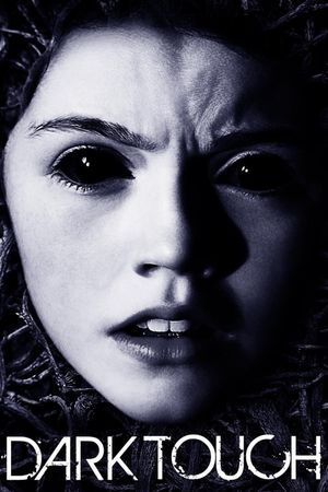 Dark Touch's poster