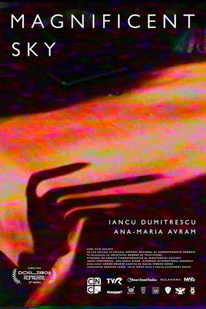 Magnificent Sky's poster