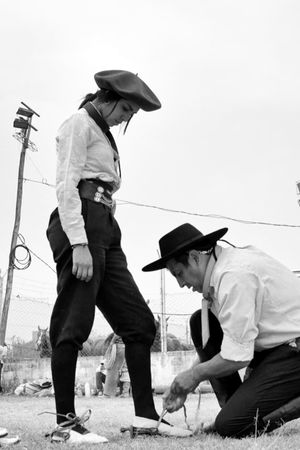 Gaucho Gaucho's poster