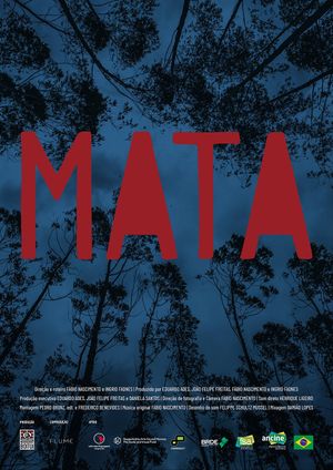 Mata's poster
