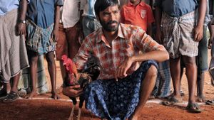 Aadukalam's poster