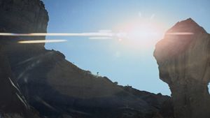 Planet of the Apes's poster