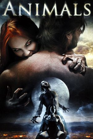 Animals's poster