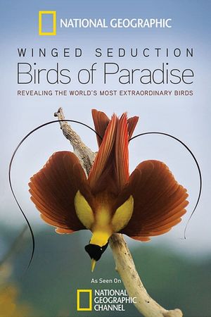 Winged Seduction: Birds of Paradise's poster