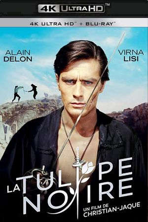 The Black Tulip's poster