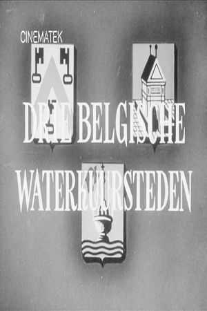Drie Belgische waterkuursteden's poster
