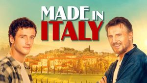 Made in Italy's poster