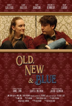 Old, New & Blue's poster image