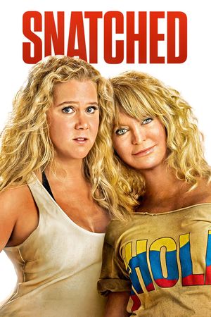Snatched's poster