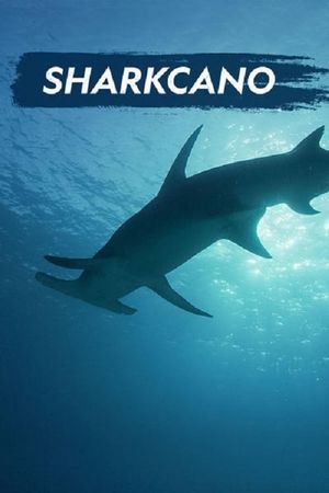 Sharkcano's poster