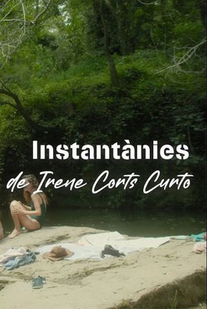 Instantànies's poster