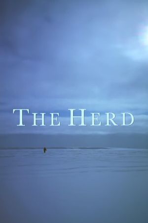 The Herd's poster