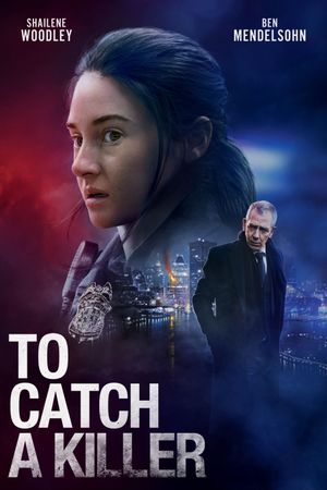 To Catch a Killer's poster