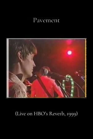 Pavement: Live on Reverb's poster