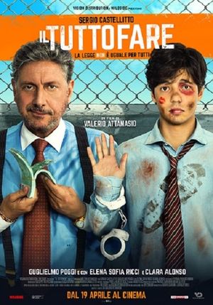 Il tuttofare's poster