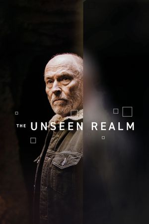 The Unseen Realm's poster