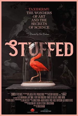 Stuffed's poster