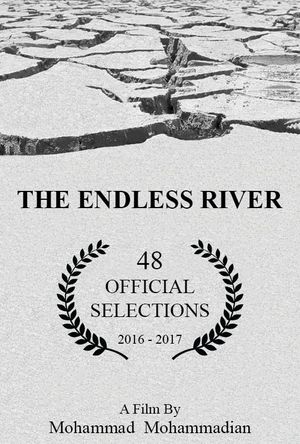 The Endless River's poster