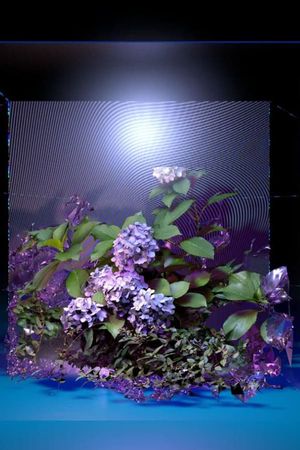 FLORALIA II's poster
