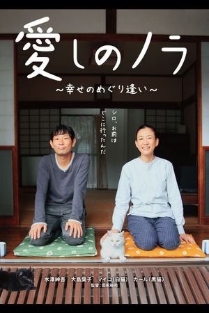 Itoshi no Nora, shiawase no meguriai's poster