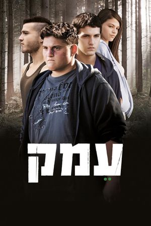 Valley's poster
