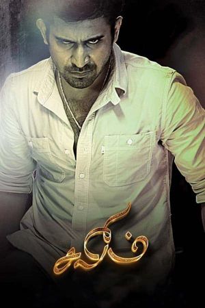 Salim's poster
