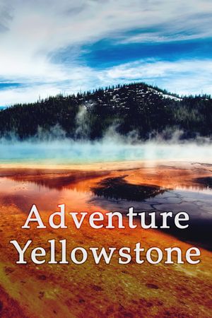 Adventure Yellowstone - Der Ruf der Wildnis's poster